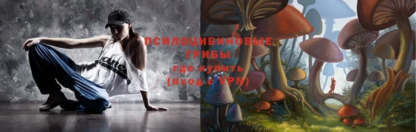 эйфоретик Карпинск