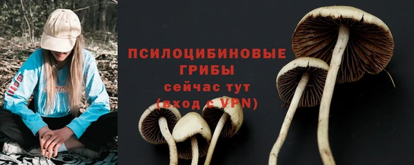 герыч Касимов