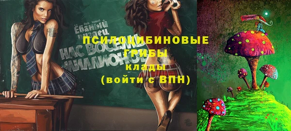 герыч Касимов