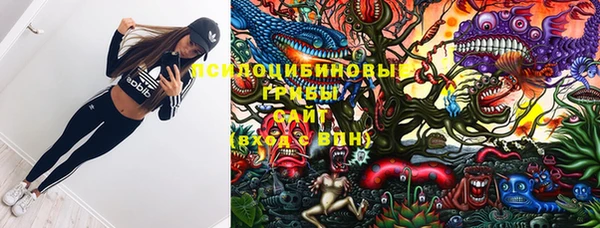 эйфоретик Карпинск