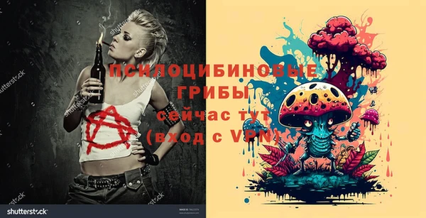 эйфоретик Карпинск