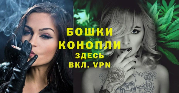 эйфоретик Карпинск