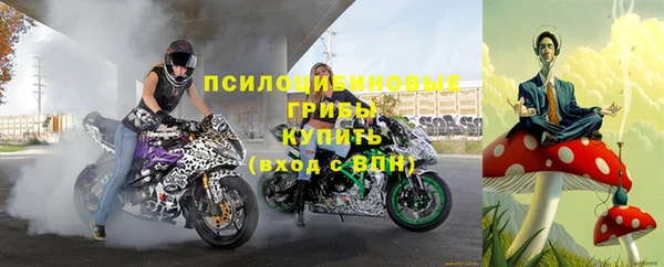 эйфоретик Карпинск
