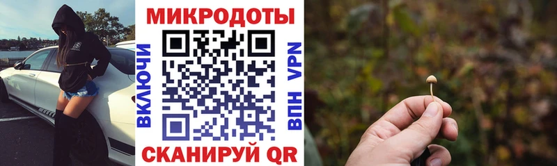 где найти наркотики Сызрань Галлюциногенные грибы ЛСД